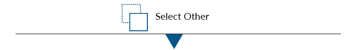 Select Other