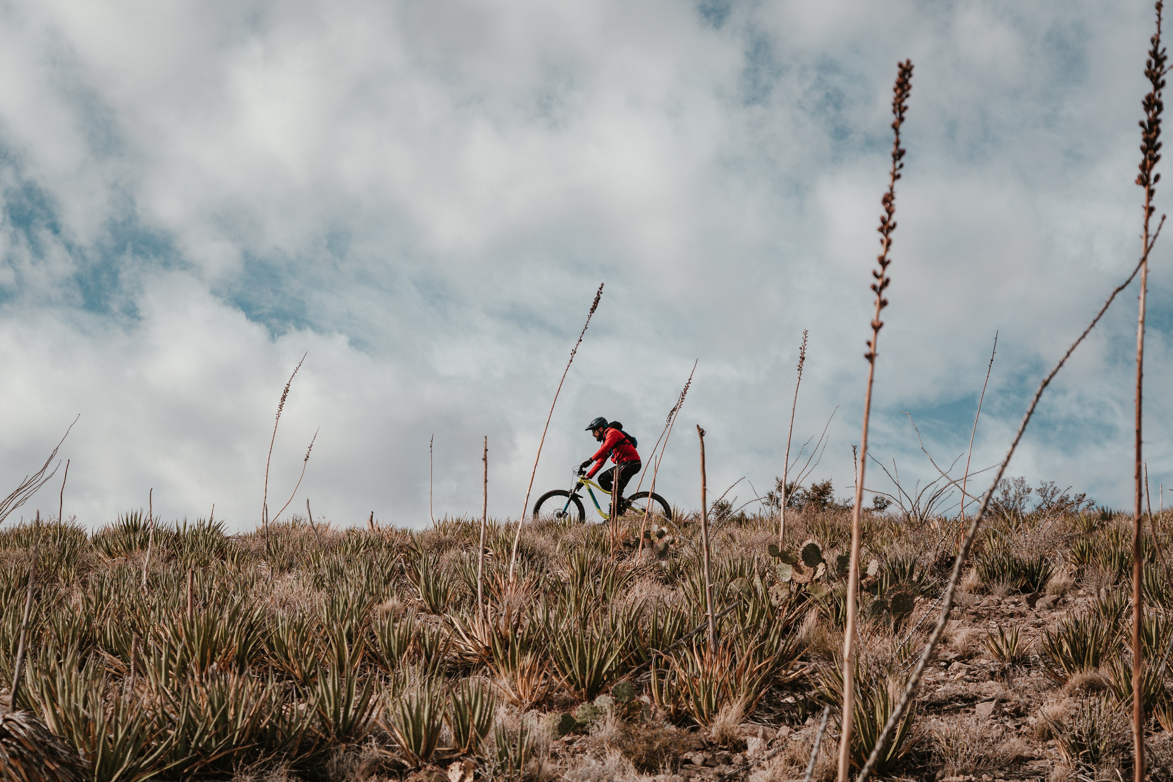 VOLspeed V3 Bosch – Ebike Tuner