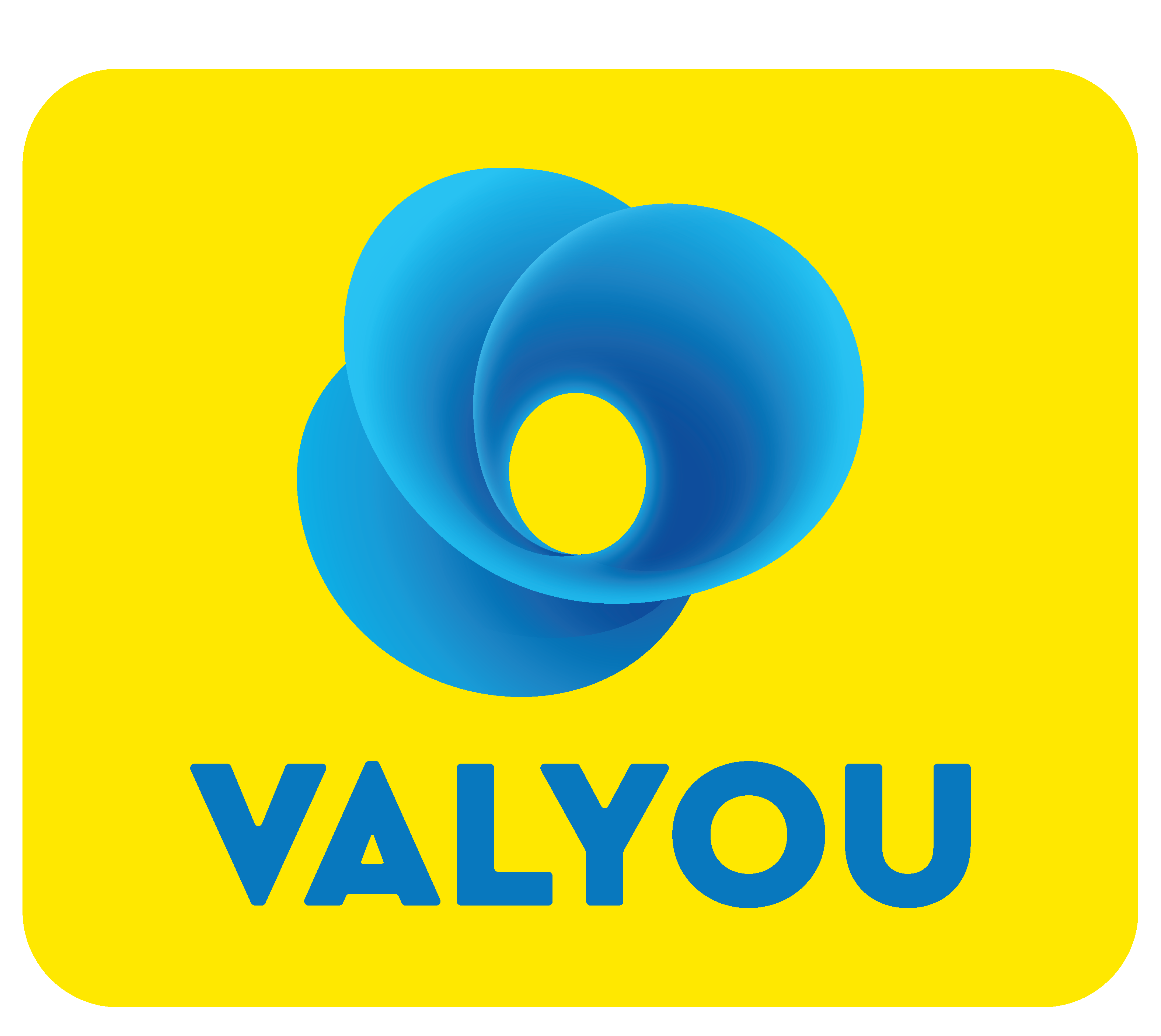 Valyou Branch Support