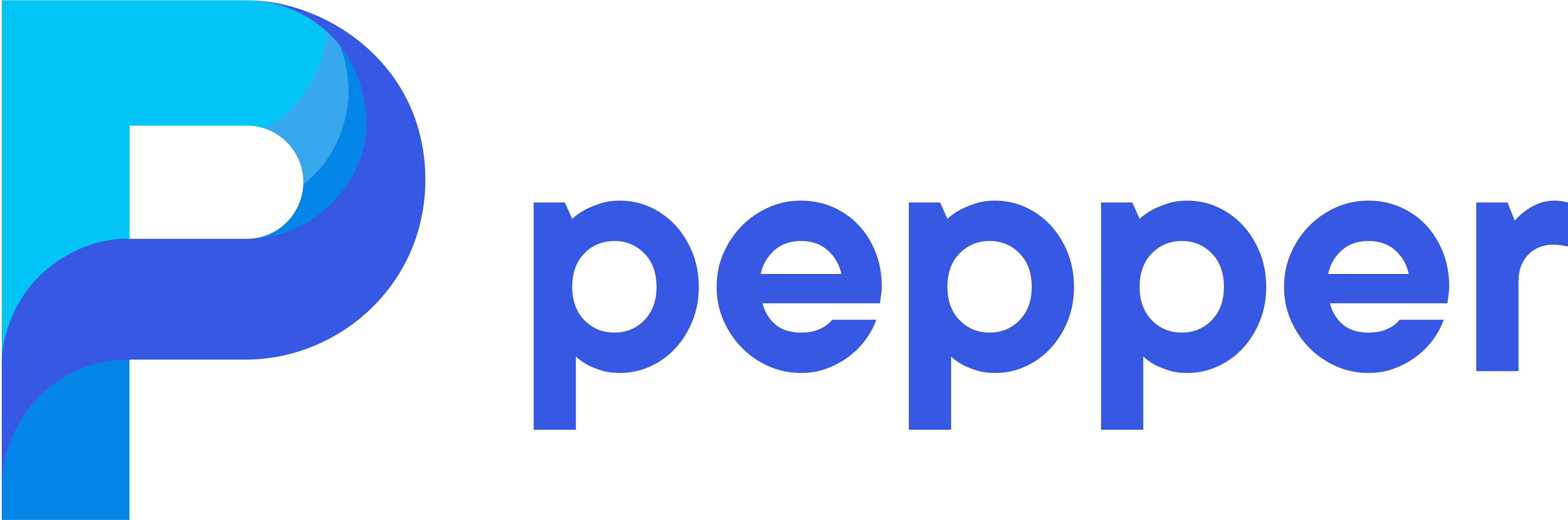 Dashboard Pepper By Smart CFO