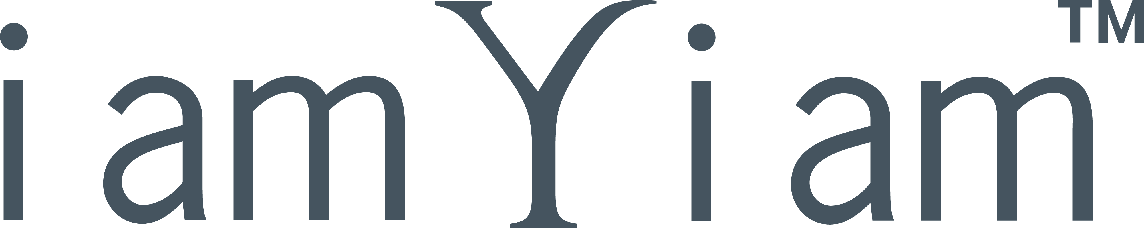 Is My Data Safe Iamyiam