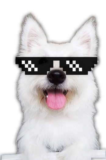 error image of a cat with glasses