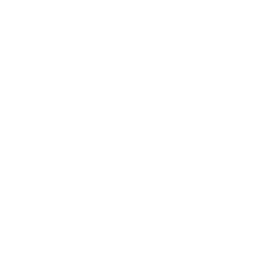 delivery-information-ferrari