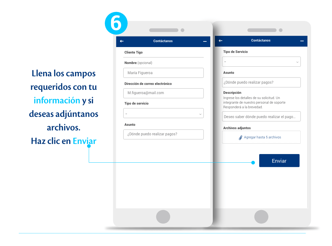 Paso 6